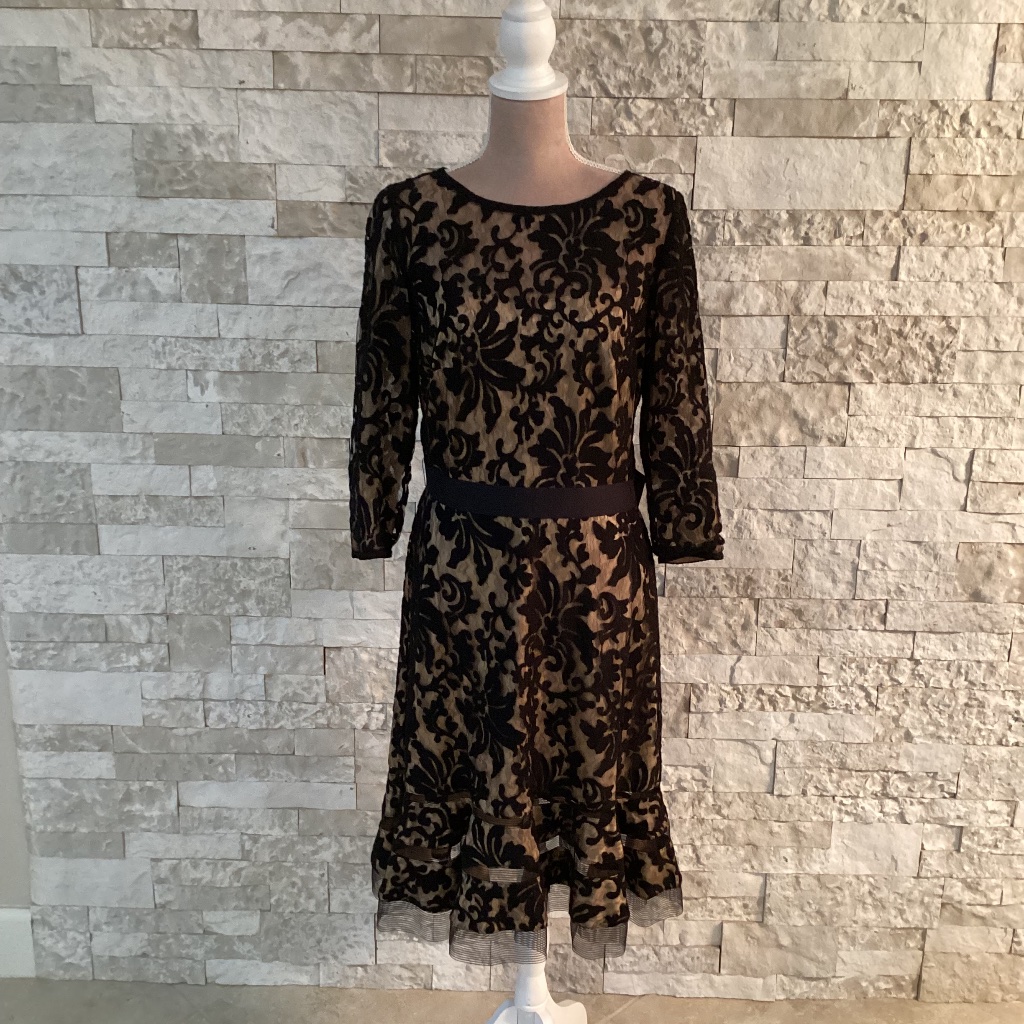 Tadashi Shoji Kennedy Embroidered Lace Dress